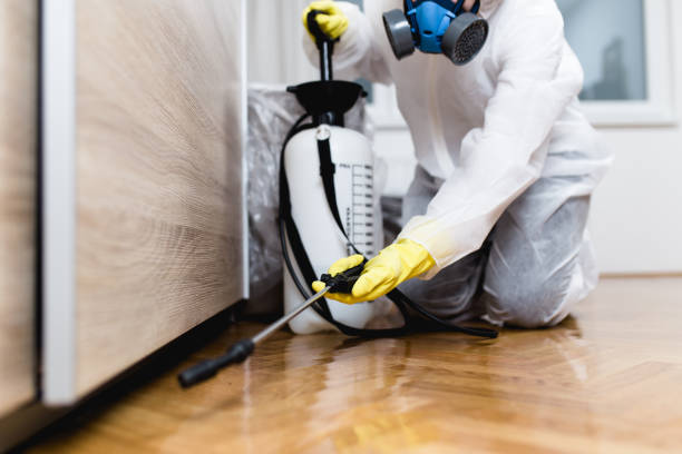 Best Pest Removal Services  in Imperial, NE